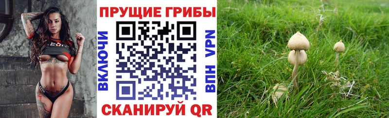 Галлюциногенные грибы Cubensis  хочу наркоту  blacksprut зеркало  Анапа 