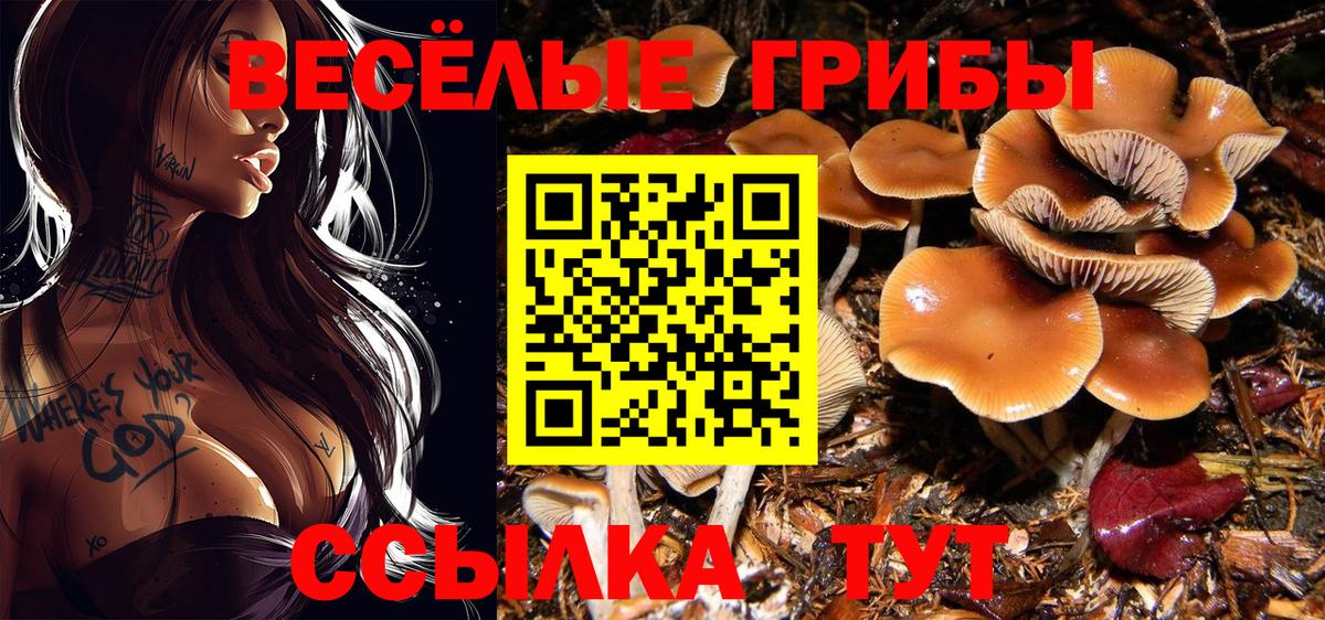 Анапа  Галлюциногенные грибы Cubensis  магазин  наркотиков  Вход с VPN 
