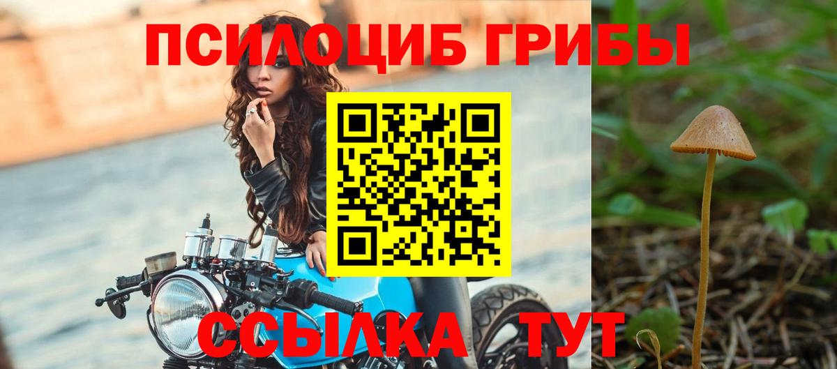 Галлюциногенные грибы Magic Shrooms Анапа