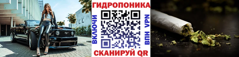 магазин продажи наркотиков  Анапа  Бошки Шишки план 